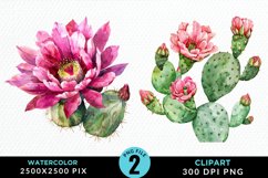 Watercolor Cactus Flower PNG Set Clipart Product Image 1