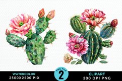 Watercolor Cactus Flower Graphic Clipart Product Image 1