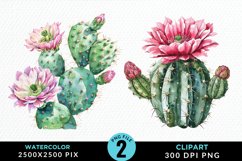 Watercolor Cactus Flower Graphic Clipart Product Image 1