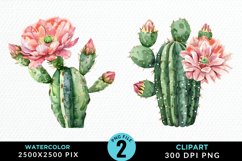 Watercolor Cactus Flower PNG Set Clipart Product Image 1