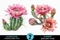 Watercolor Cactus Flower Graphic Clipart Product Image 1