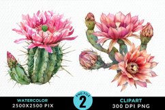 Watercolor Cactus Flower Graphic Clipart Product Image 1