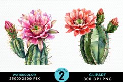 Watercolor Cactus Flower PNG Set Clipart Product Image 1