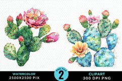 Watercolor Cactus Flower PNG Set Clipart Product Image 1