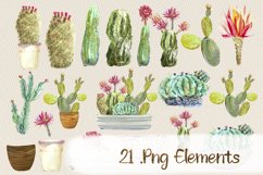 Cactus Font and Clip Arts Product Image 4