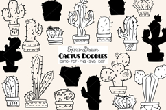 Cactus in Flower Pots | Succulent | Tropical House Plants Product Image 1