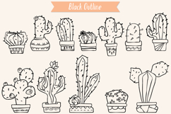 Cactus in Flower Pots | Succulent | Tropical House Plants Product Image 2