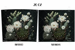 Succulents Sublimation Tumbler, Succulents PNG, Summer PNG, Summer Tumbler, Tumbler 20 oz