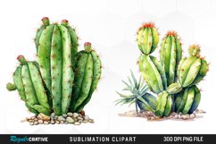 Cactus Clipart,Cacti Clipart,Watercolor Cactus,Cactus Png,Cactus Graphics,Cactus Printables,Cactus Digitals,Cactus Illustrations,