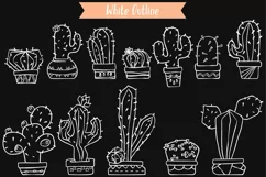 White Cactus in Flower Pot | Succulent, Tropical House Plant Product Image 2