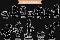 White Cactus in Flower Pot | Succulent, Tropical House Plant Product Image 4