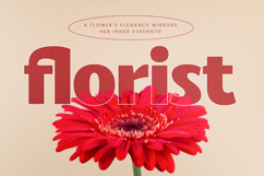 Caffie Lofie - Display Sans Serif Font Product Image 16