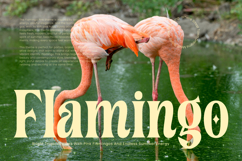 Cahileros - Bold Retro Display Serif Product Image 14