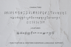 Calamity Street Script Product Image 10