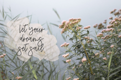 Calamity Street Script Product Image 7