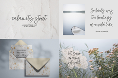 Monoline Script Font Mini Bundle Product Image 3