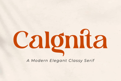 Calgnita | A Modern Classic Serif Font Product Image 1