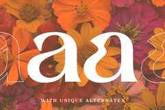 Calgnita | A Modern Classic Serif Font Product Image 3