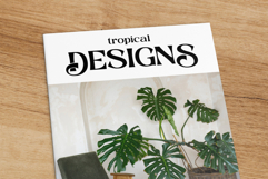 Calgnita | A Modern Classic Serif Font Product Image 4