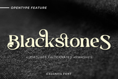 Calgnita | A Modern Classic Serif Font Product Image 10