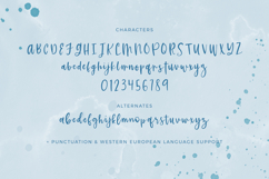 Cali Coast Script Product Image 10