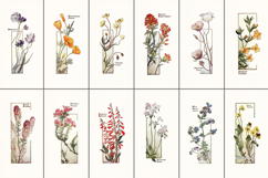 12 California Wildflowers Vintage Botanical Illustrations Product Image 2