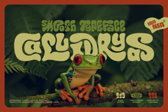 Callidryas Groovy Font Product Image 1