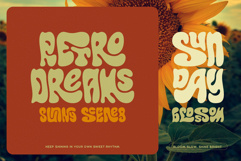 Callidryas Groovy Font Product Image 2