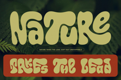 Callidryas Groovy Font Product Image 5