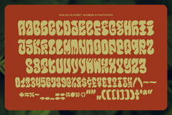 Callidryas Groovy Font Product Image 6