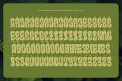 Callidryas Groovy Font Product Image 7