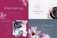 The Calligraphy Font Bundle Product Image 2