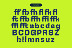 Qalzo - Elegant Sans Serif Font Product Image 18