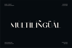 Camela Nabila - Modern Ligature Font Product Image 13