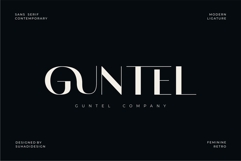 Camela Nabila - Modern Ligature Font Product Image 4