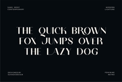 Camela Nabila - Modern Ligature Font Product Image 8