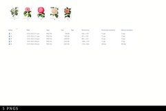 Camelia Vintage Floral Botanical Clip Art Product Image 3