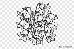 Black ink line art Campanula coloring page PNG Flower illust Product Image 1