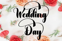 Camping Product Image 8