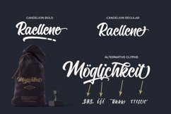 Candelion Casual Script Product Image 7