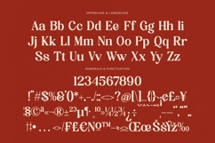 Candle Midnight - Groovy Serif Display Font Product Image 18