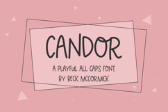 Candor Sans Product Image 1