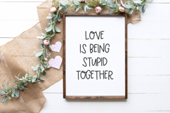 Candor Sans Product Image 7