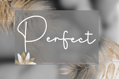 Candycake Product Image 7