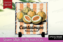 Cantaloupe Vintage Fruit Slate PNG Summer Square Slate Product Image 1