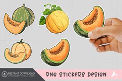 Cantaloupe Sticker Clipart Product Image 1