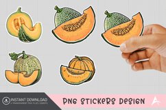 Cantaloupe Sticker Clipart Product Image 1