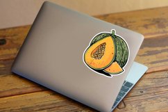 Cantaloupe Sticker Clipart Bundle Product Image 3