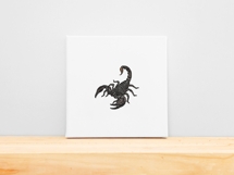 Emperor Scorpion Product Image 7