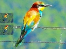 Canvas Oil Painting Product Image 2